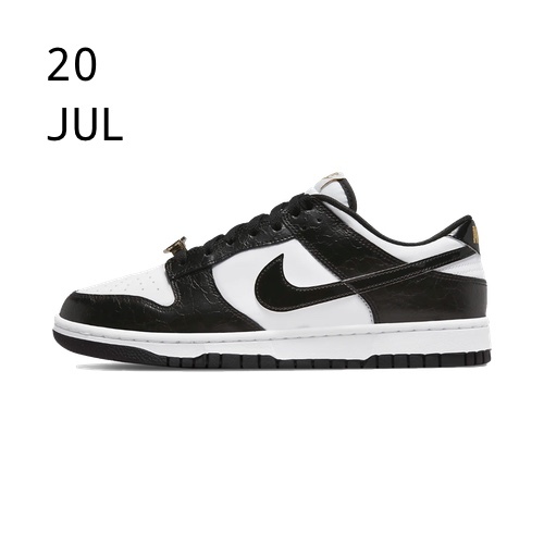 nike dunk euro champ